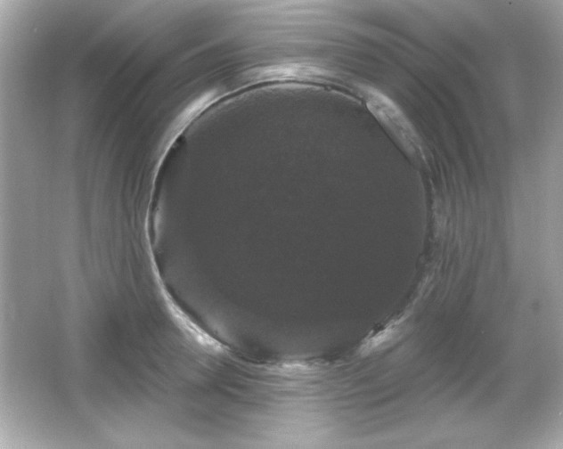 X0000066490946200603201253