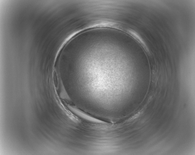 X0000066490948200603201253