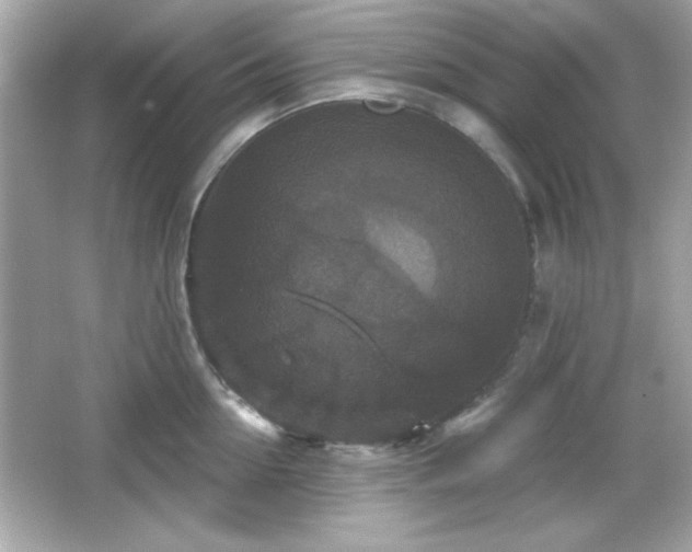 X0000066490954200603201253