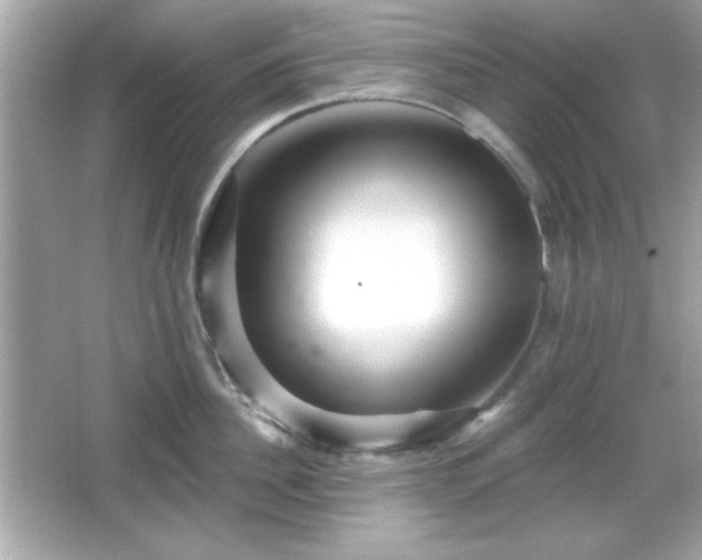 X0000066490956200603201253