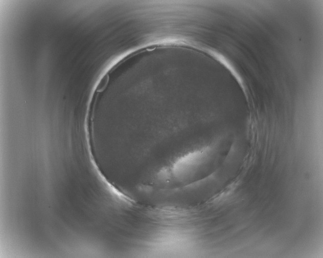 X0000066490959200603201253