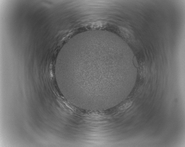 X0000066490962200603201253