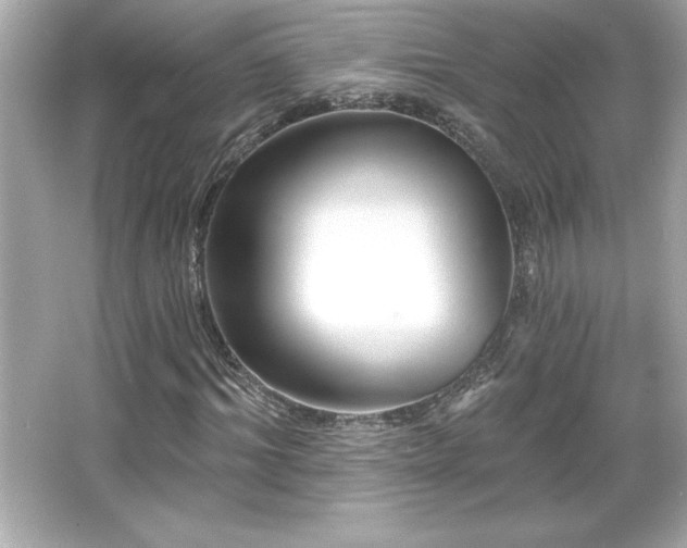 X0000066490964200603201253