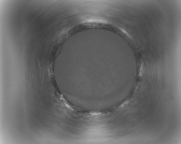 X0000066490965200603201253