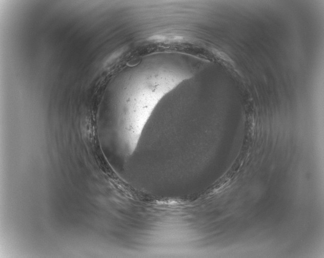 X0000066490966200603201253