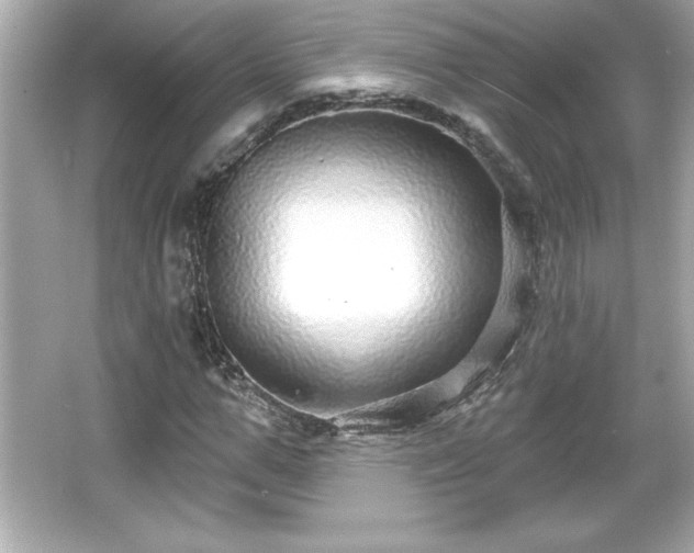 X0000066490967200603201253