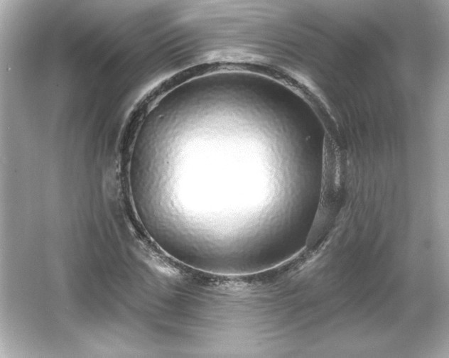 X0000066490971200603201253