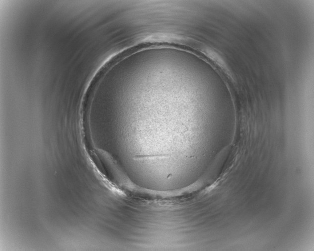 X0000066490976200603201252