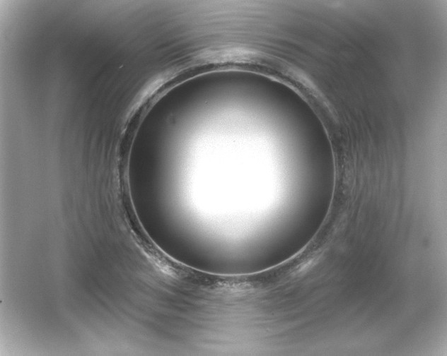X0000066490978200603201252