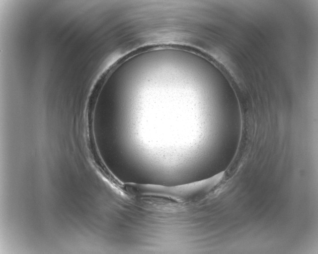 X0000066490982200603201252