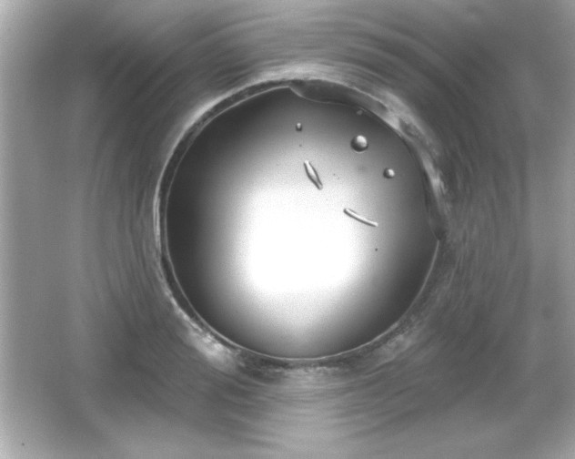 X0000066490988200603201252