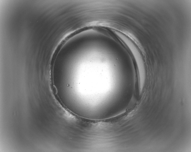 X0000066490992200603201252