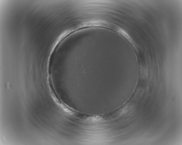 X0000066490994200603201252
