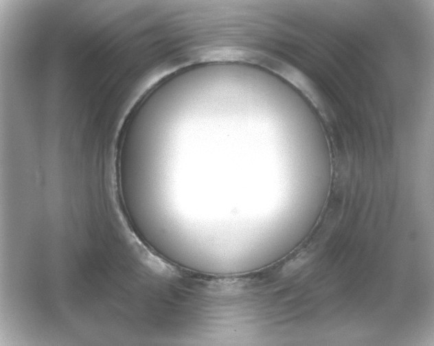 X0000066491000200603201252