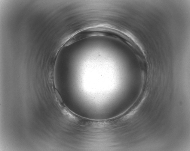 X0000066491001200603201252
