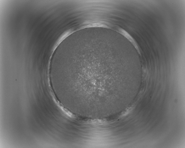 X0000066491002200603201252