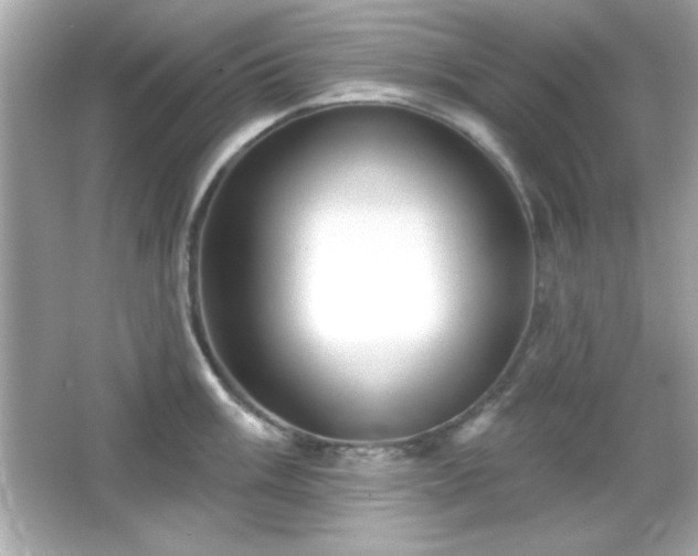 X0000066491003200603201252