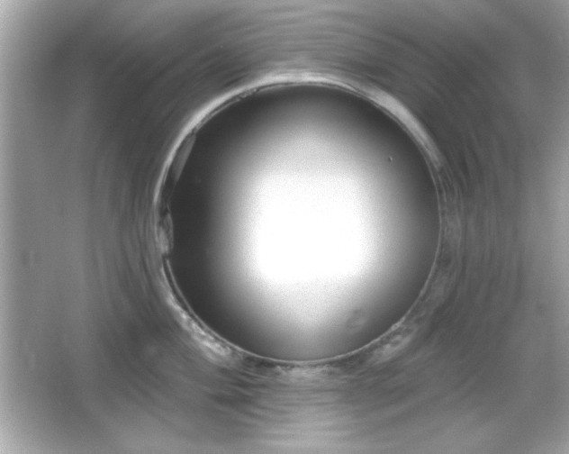 X0000066491004200603201252