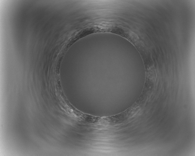X0000066491009200603201251