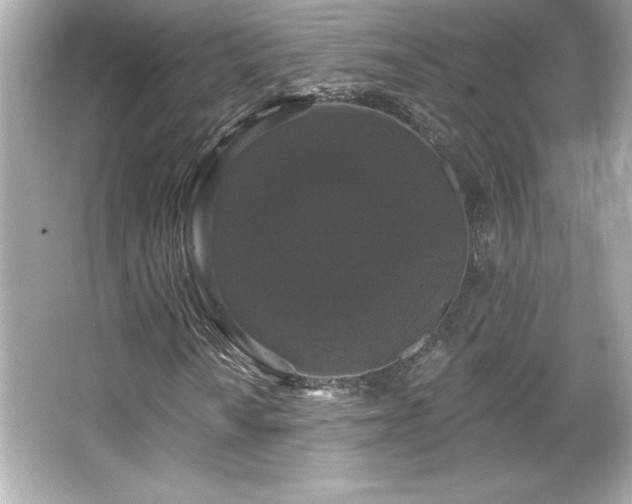 X0000066491010200603201251