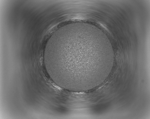 X0000066491015200603201251