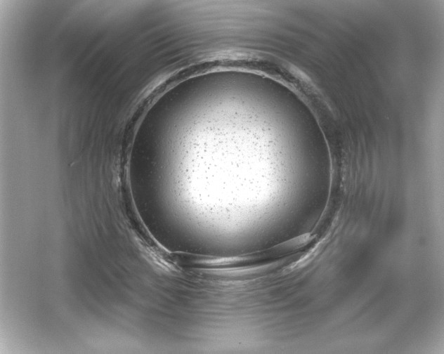 X0000066491017200603201251