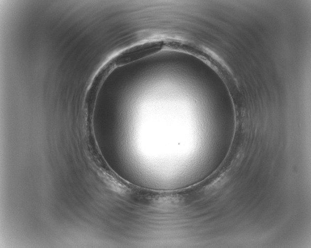 X0000066491021200603201251