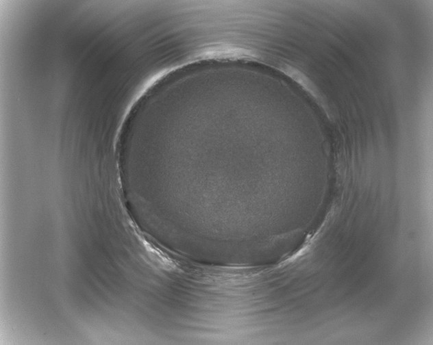 X0000066491022200603201251