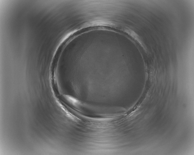 X0000066491024200603201251