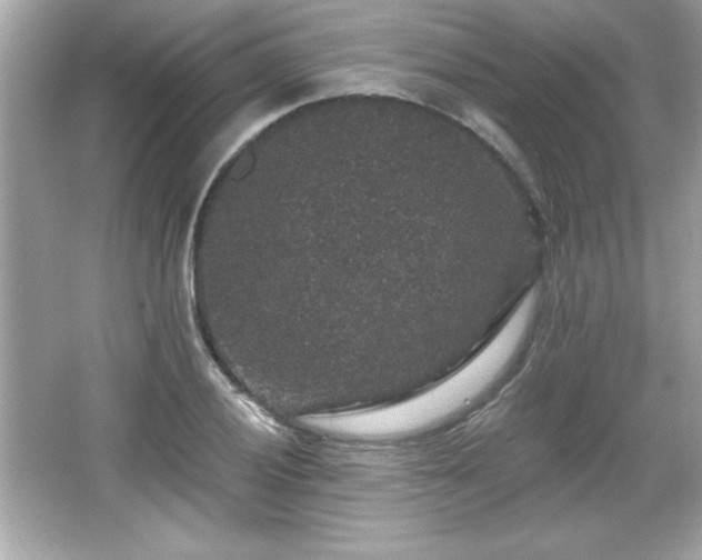 X0000066491028200603201251
