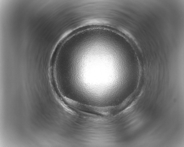 X0000066491029200603201251