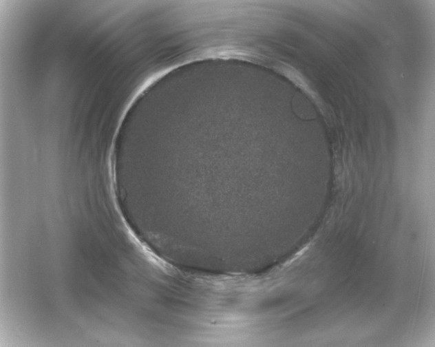 X0000066491032200603201251