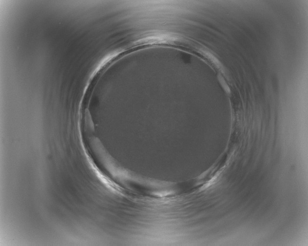 X0000066491034200603201252