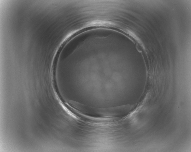 X0000066491037200603201252
