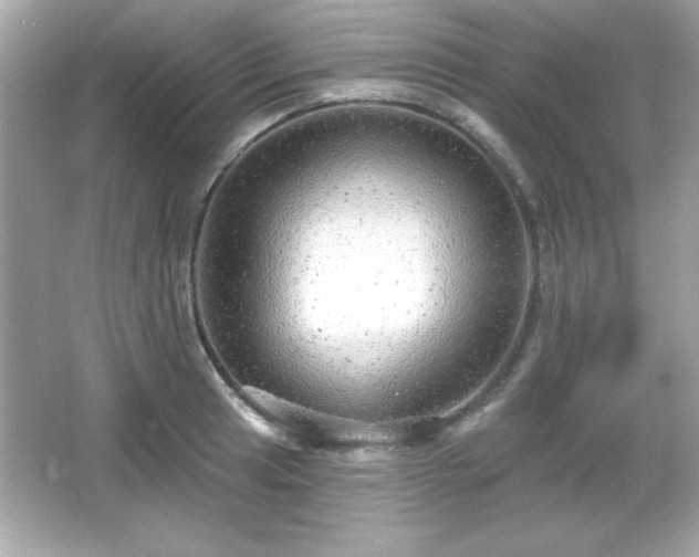 X0000066491041200603201252