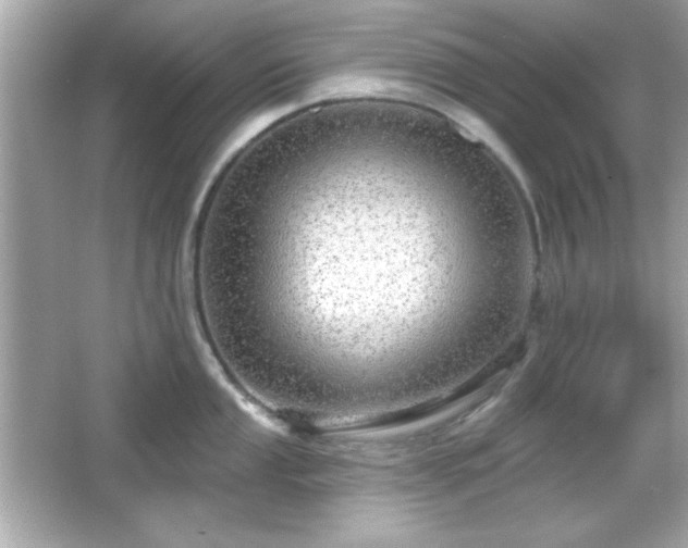 X0000066491053200603201252
