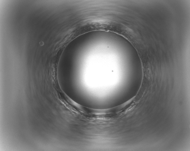 X0000066491061200603201251
