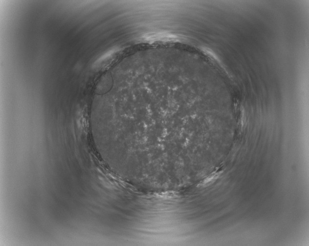 X0000066491063200603201251