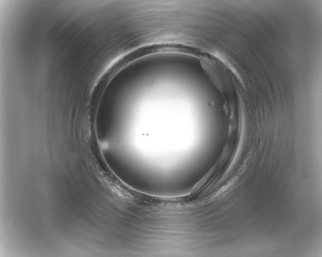 X0000066491069200603201251