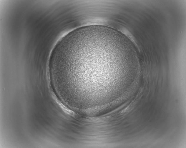 X0000066491072200603201251