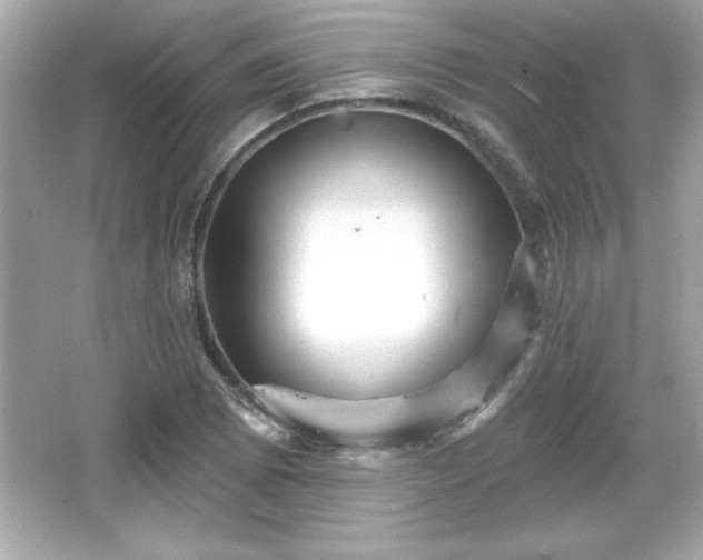 X0000066491073200603201251