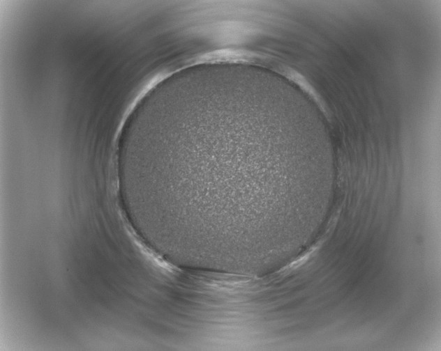 X0000066491075200603201251