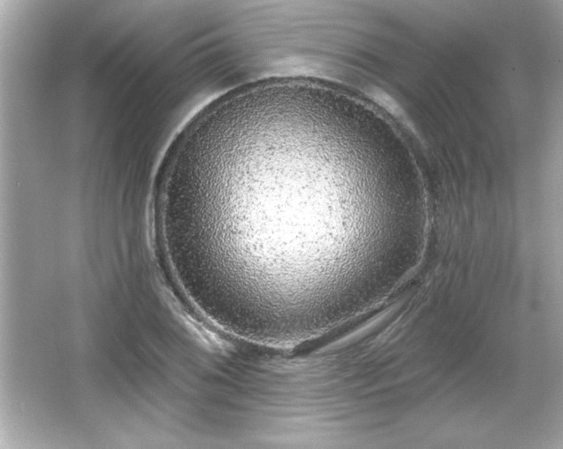 X0000066491076200603201251