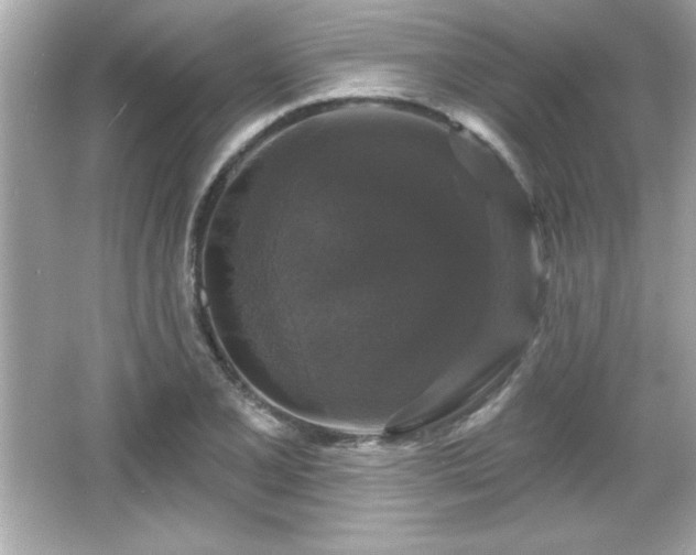 X0000066491077200603201251