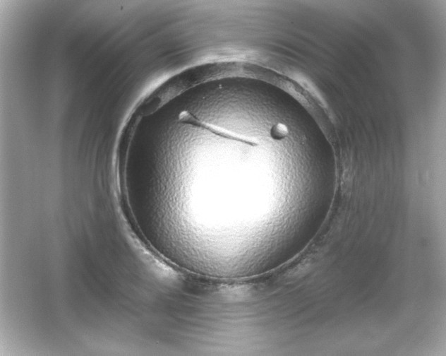 X0000066491080200603201251