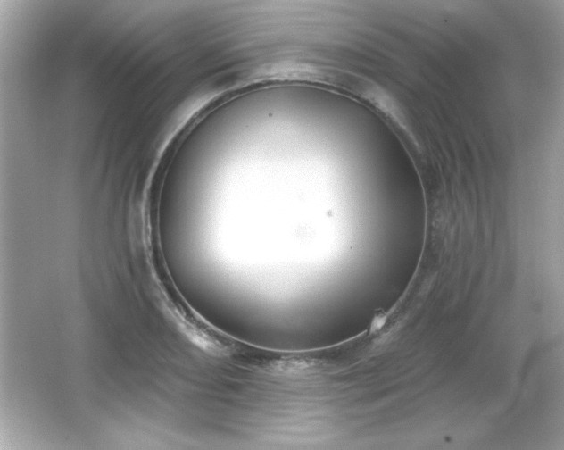 X0000066491082200603201251