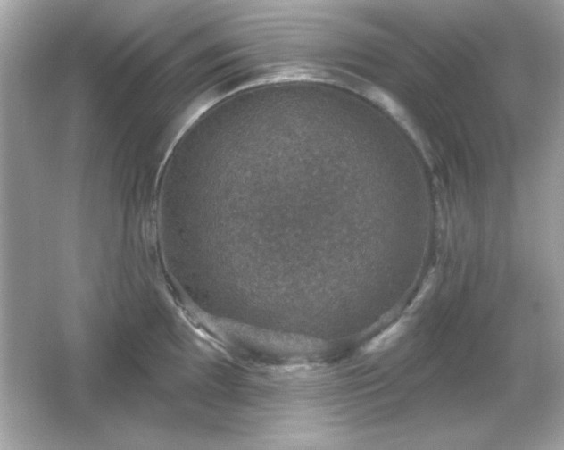 X0000066491097200603201250