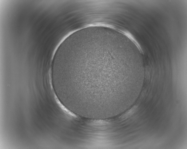 X0000066491100200603201250