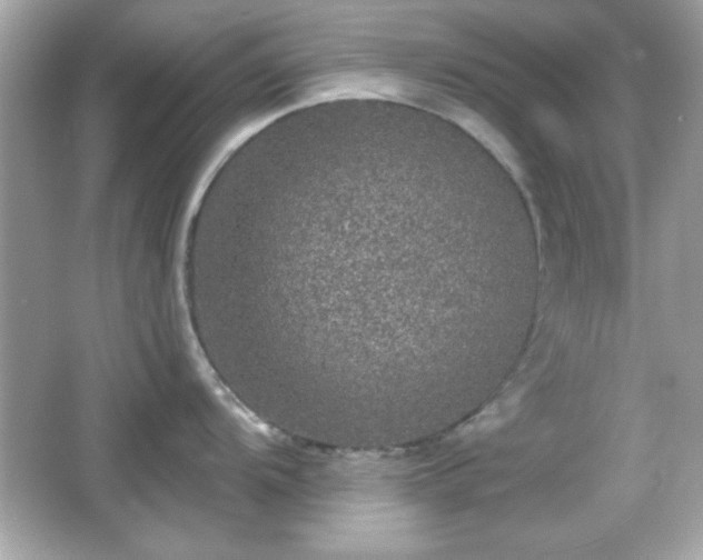 X0000066491104200603201250