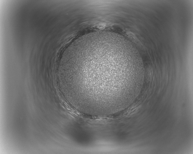 X0000066491105200603201249